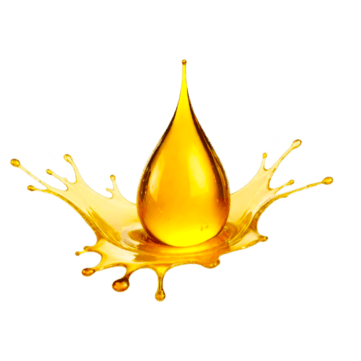 Routine Maintenance detail